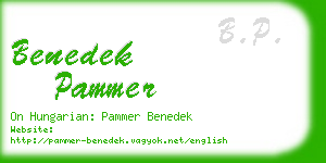 benedek pammer business card